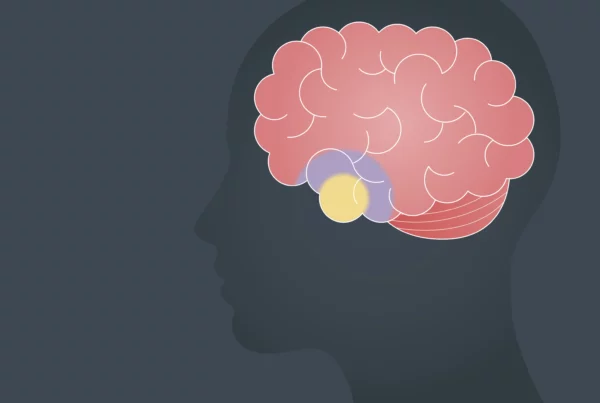 Graphics of human brain